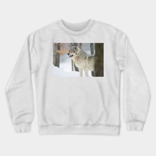 Gray Wolf Crewneck Sweatshirt